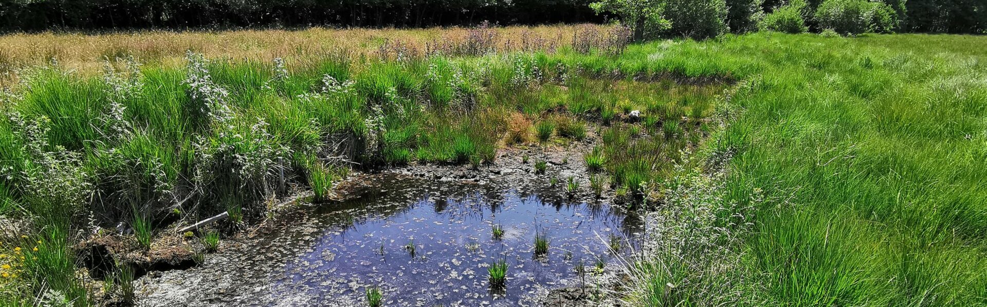 Saint-Donat en Auvergne